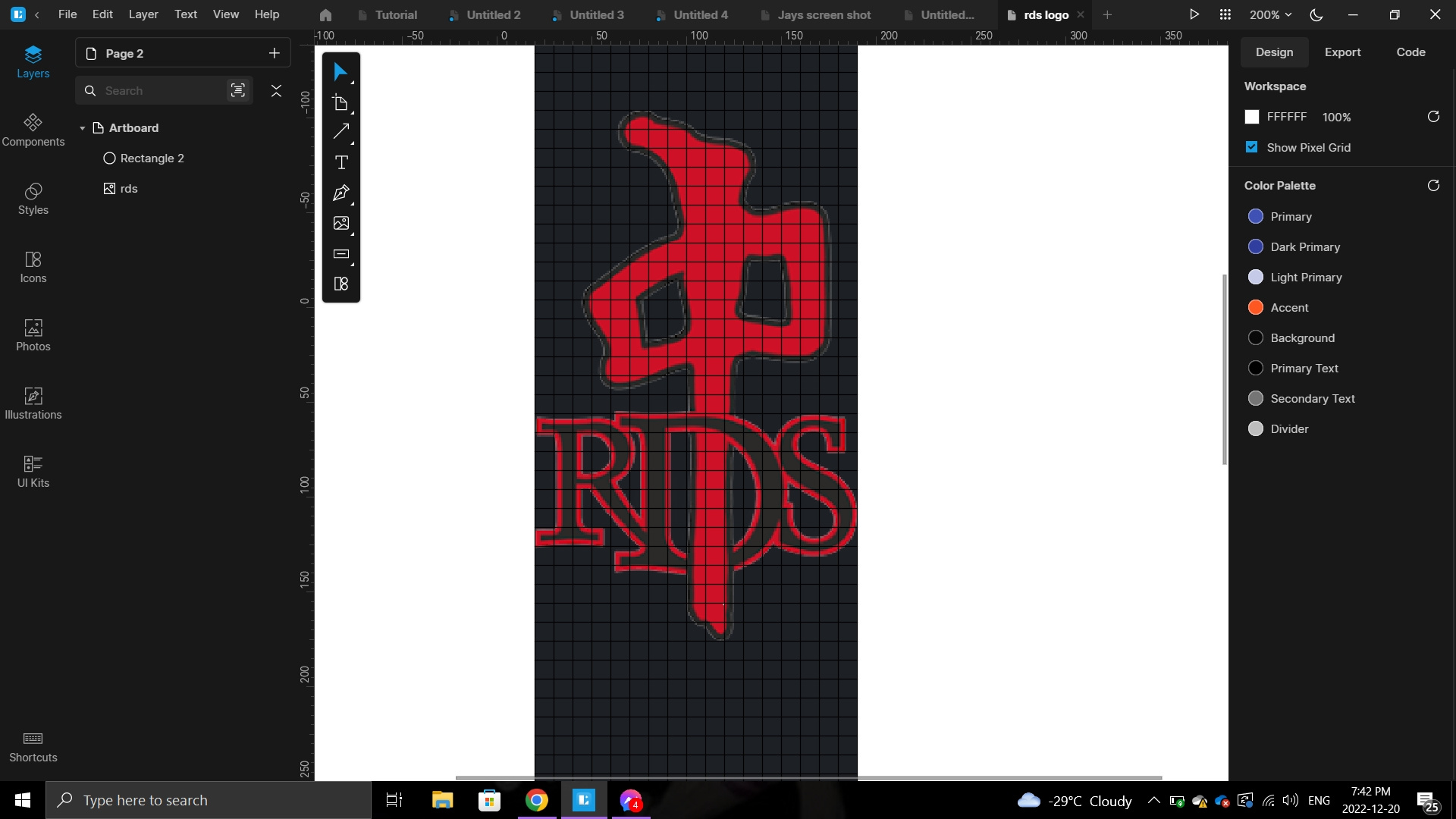 rds logo screenshot.jpg